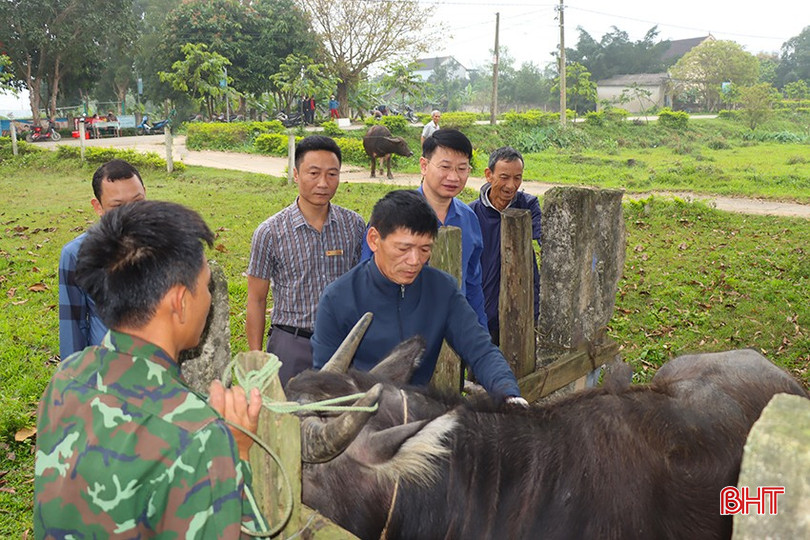 Lãnh đạo UBND huyện Đức Thọ trực tiếp triển khai công tác tiêm phòng đợt 1 năm 2025. bqbht_br_img-9873.jpg