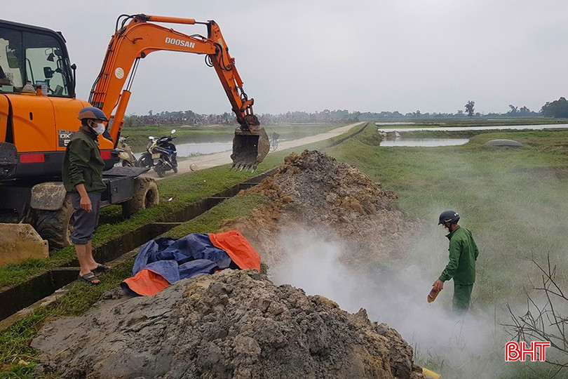 TP Hà Tĩnh tiến hành tiêu hủy lợn bị nhiễm DTLCP. bqbht_br_z6309345702785-d1b67e2622aa28344711a81e5e80350c.jpg