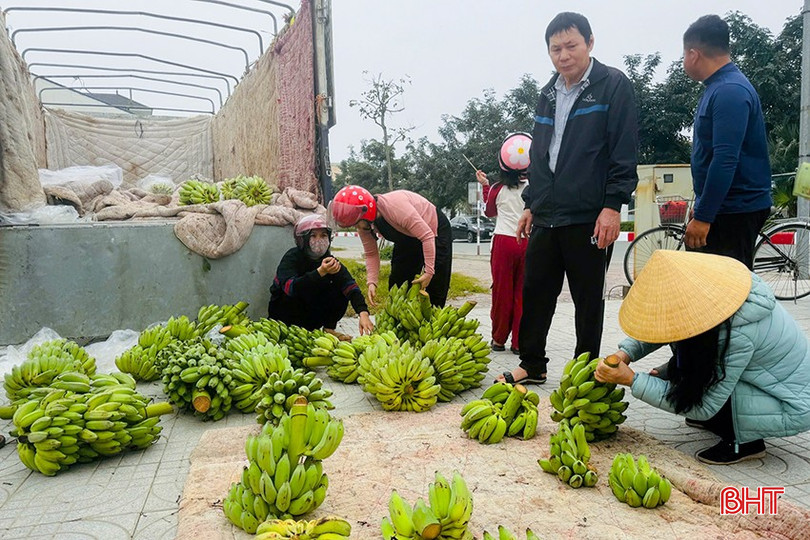 Khách hàng mua chuối tại thị trấn Nghèn (Can Lộc). bqbht_br_z6263151667942-d8ed0f2388a34067e0976c669af9d5ce.jpg