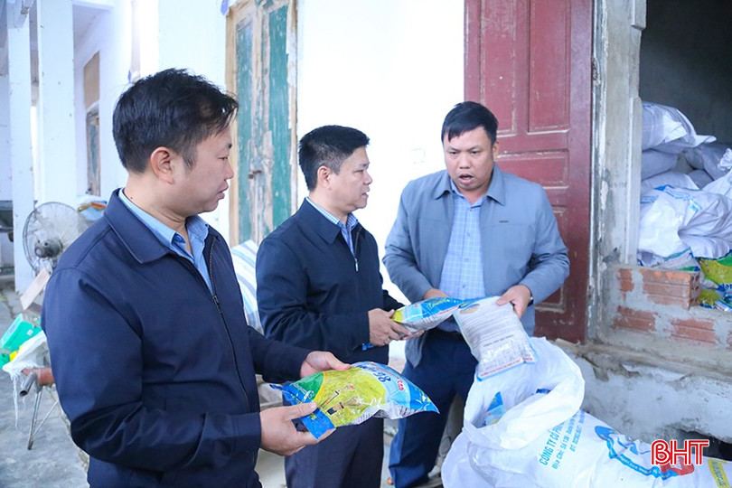 Đoàn tập trung kiểm tra bao bì nhãn mác, hồ sơ chất lượng, lấy mẫu các lô hàng để phân tích. bqbht_br_img-7709.jpg