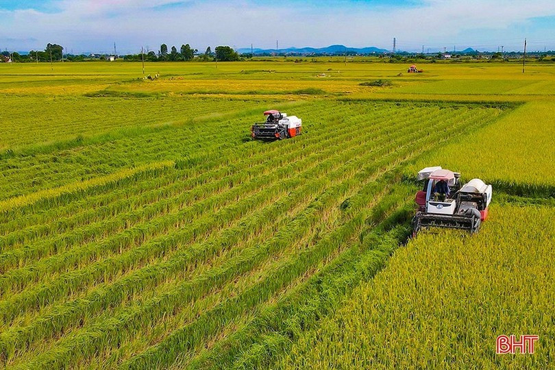 Hà Tĩnh tập trung phát triển nông nghiệp xanh, nông nghiệp hữu cơ phù hợp với thực tiễn sản xuất. anh-7-9827-9507-1.jpg