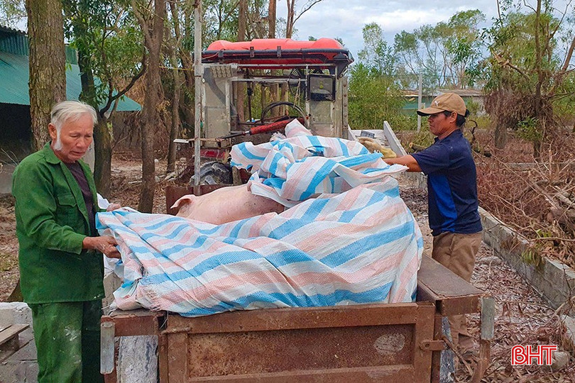 Từ đầu tháng 10 đến nay, DTLCP trên địa bàn Hà Tĩnh đang diễn biến phức tạp trở lại. bqbht_br_z7110722628874-fb35a2b4c22d0cecffec5d3da58a76b4.jpg