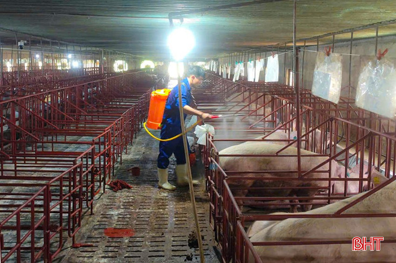 Một trong những giải pháp ứng phó với DTLCP hàng đầu là áp dụng nghiêm ngặt biện pháp chăn nuôi an toàn sinh học. bqbht_br_z6886868102625-93fc56cbd33fc2b0d7ef08fcbfea476c.jpg