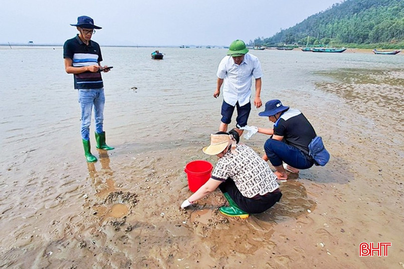 Ngành chuyên môn lấy mẫu kiểm tra ngao chết hàng loạt tại huyện Thạch Hà. Ảnh tư liệu. bqbht_br_142d2130512t73827l0.jpg