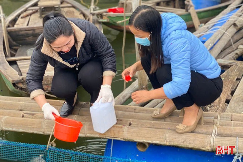 Chi cục Thủy sản tỉnh Hà Tĩnh thường xuyên kiểm tra nguồn nước để dự báo các nguy cơ dịch bệnh tiềm ẩn đối với các đối tượng nuôi trồng thủy sản. bqbht_br_z6160200767119-ee1ee632b6320562b10d5990ed129238.jpg