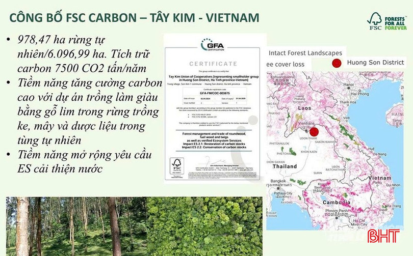 Liên hiệp HTX Chứng chỉ rừng Tây Kim đã thuê chuyên gia đo đếm và công bố 978 ha rừng tự nhiên của 160 hộ dân tại các xã Sơn Kim 2, Sơn Tây, Sơn Hồng,… có khả năng tích trữ 7.500 tấn carbon/năm. bqbht_br_z7162531926601-9226dcf0c936a71aaf7f58d4feef167e.jpg