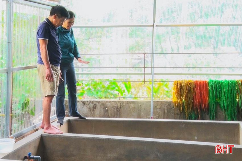 Ông Nguyễn Hữu Đại (phường Kỳ Trinh, TX Kỳ Anh) xây dựng 8 bể nuôi lươn không bùn. z5670222211761_fb28dc7bad37f71e7432ef3883702ff6.jpg