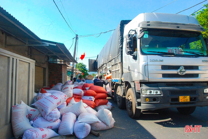 Lúa tươi được thương lái thu mua với giá cao, trên 6.500 đồng/kg. z5796616932087_d1a94d1ca9cc13b471a97ffb88ee092f.jpg