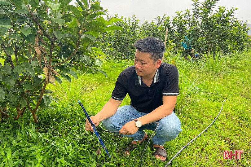 Hệ thống tưới nhỏ giọt đảm bảo cây phát triển tốt, tiết kiệm nước tưới. bqbht_br_5.jpg