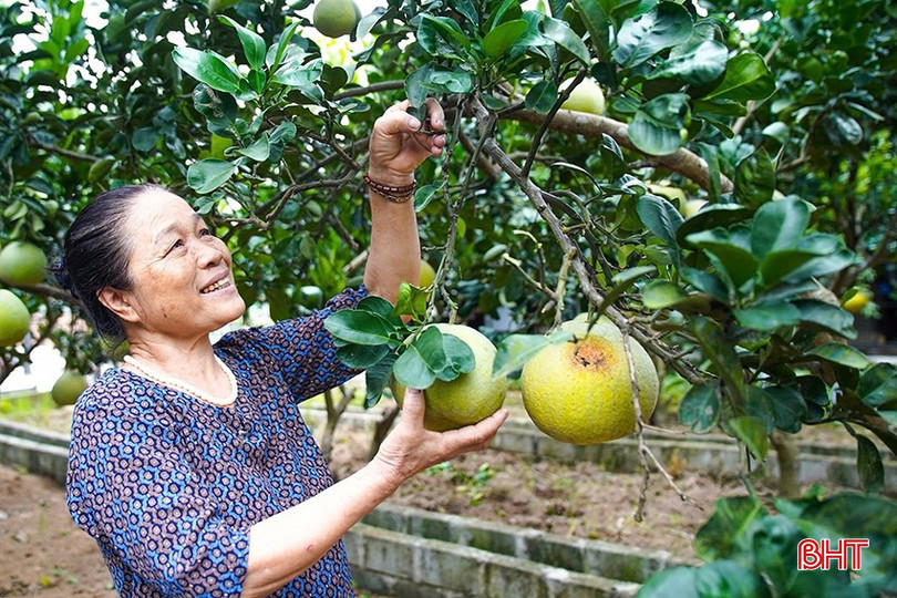 Hà Tĩnh đã bắt đầu chuẩn bị các điều kiện để thực hiện cuộc Tổng điều tra NNNT năm 2025. bqbht_br_a14.jpg