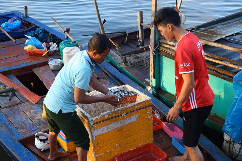 Hà Tĩnh hiện có hàng nghìn tàu cá (chủ yếu thuộc nhóm tàu từ 6-12m) không đăng ký, không đăng kiểm, không giấy phép theo quy định.