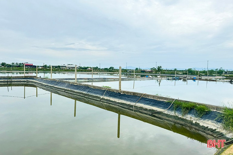 Hơn 40 vạn con giống của ông Trương Quang Lộc - Thành viên HTX Nuôi trồng thủy sản Hà Voọc (Hộ Độ, Lộc Hà) "mất trắng" sau đợt mưa lớn vừa qua. z5864912405750_43a81397569408f78044a27fe983a719.jpg