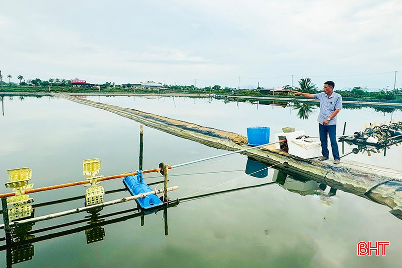 Một số hộ nuôi tại HTX Nuôi trồng thủy sản Hà Voọc (Hộ Độ, Lộc Hà) đã dừng chạy quạt sục nước vì cơ bản số tôm thả nuôi trong ao đã chết sau mưa lớn. z5864912233730_dd717a6a3502605fc494cf8779880af1.jpg
