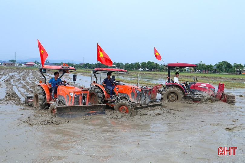 Đến nay, tổng diện tích tập trung, tích tụ toàn tỉnh đạt hơn 10.120 ha. bqbht_br_img-4983.jpg
