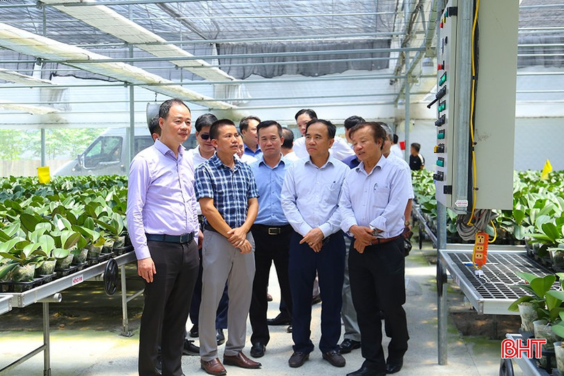 Đoàn công tác của Bộ Khoa học và Công nghệ (KH&CN) đi kiểm tra một số dự án, mô hình ứng dụng KH&CN trong sản xuất trên địa bàn. bqbht_br_img-1109.jpg
