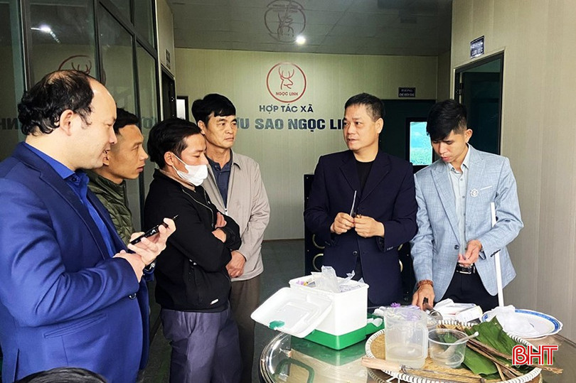 Huyện Hương Sơn tổ chức các lớp tập huấn, tuyên truyền về quy trình kỹ thuật cắt lộc nhung bằng phương pháp gây mê. bqbht_br_z6333003974018-5e89ef1e7f26d3f2130cd5e03c770edd.jpg