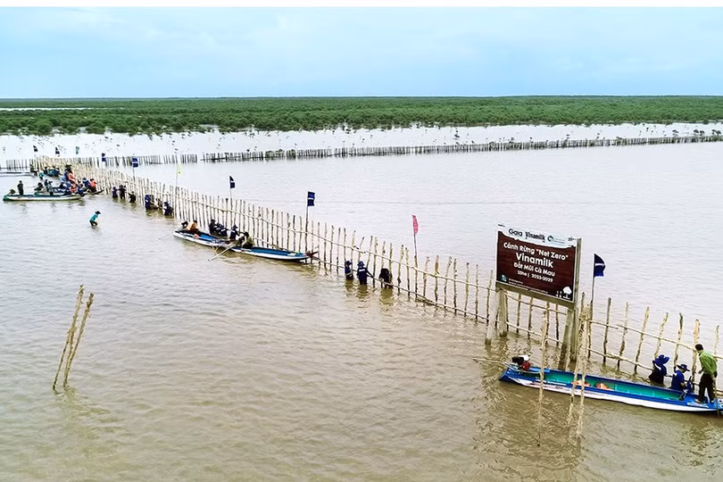 Tại các nhà máy của Vinamilk, 86,8% năng lượng từ nhiên liệu hóa thạch được thay thế bằng năng lượng xanh.