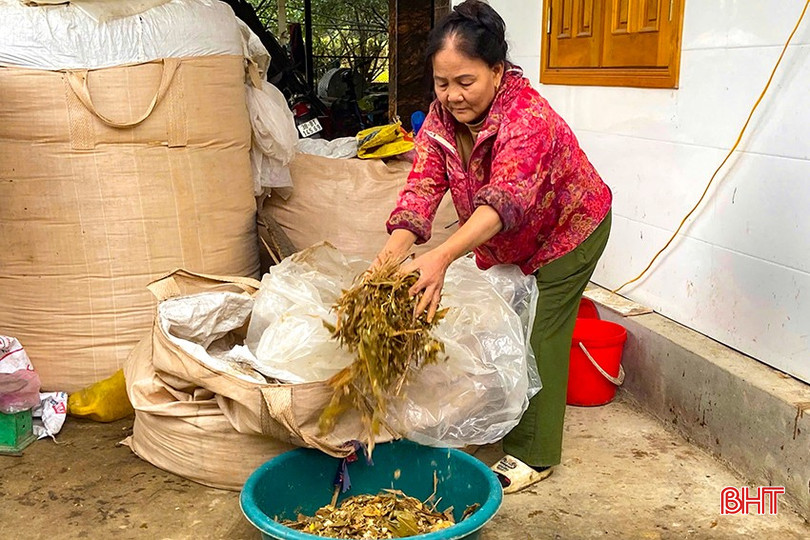 Nông dân huyện Hương Khê ủ chua thức ăn từ phụ phẩm nông nghiệp cho đàn gia súc. bqbht_br_u-thuc-an.jpg