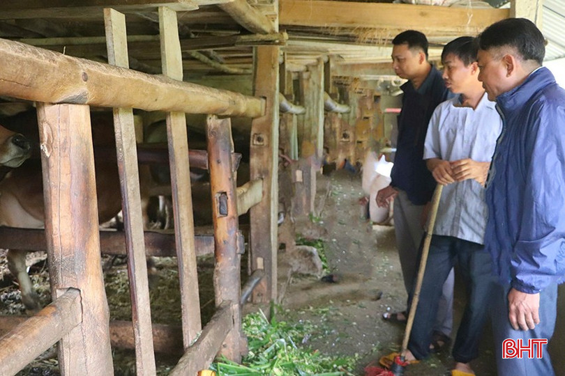 Ngành chuyên môn các địa phương đã hướng dẫn người chăn nuôi chú trọng thực hiện các biện pháp phòng, chống đói rét cho vật nuôi như trâu, bò, dê,... bqbht_br_z6135471815266-bc0860cb183fc4824c6ca8dc5c6cf6a5.jpg