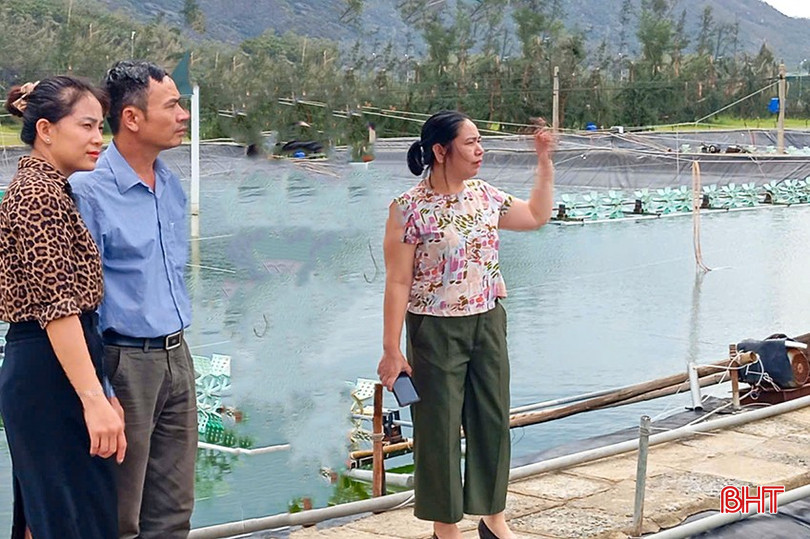 Sở NN&MT đã có văn bản đề nghị các địa phương thành lập tổ công tác, phân công trực tiếp đến từng vùng nuôi trọng điểm để kiểm tra, đánh giá thực trạng, hướng dẫn các biện pháp khắc phục. bqbht_br_z6957625685186-c912a47fe3d360bd20b6bdd89881314e.jpg