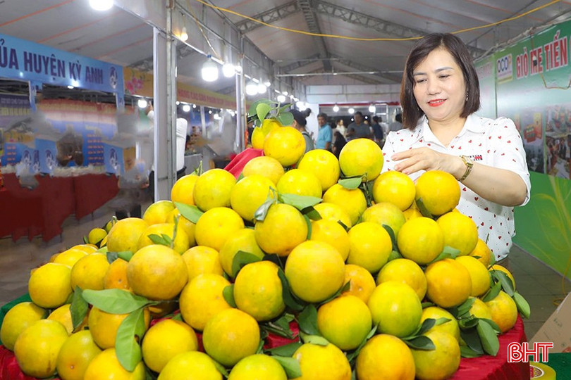 Cam Khe Mây tham gia các hội chợ trong và ngoài tỉnh. bqbht_br_z6051276002559-6374c66845defd8cd3f1dba91164f0ed.jpg