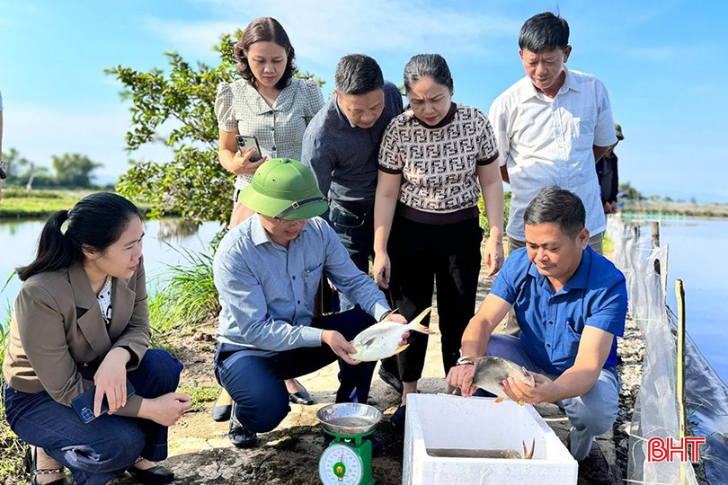 Pengembangan tanaman dan hewan yang bernilai ekonomi ditekankan. bqbht_br_h1-171328-659.jpg
