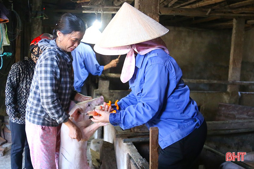 Bà con nông dân chú trọng hoạt động tái đàn chăn nuôi gắn với phòng chống dịch bệnh để đảm bảo nguồn cung thịt gia súc, gia cầm cuối năm. img-9764-2200.jpg