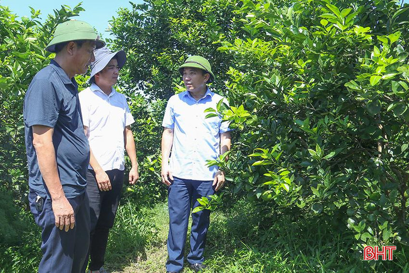 Phó Giám đốc Sở NN&PTNT tỉnh Nguyễn Quang Thọ kiểm tra tính hiệu quả của dự án tại huyện Vũ Quang. IMG_9063.jpg