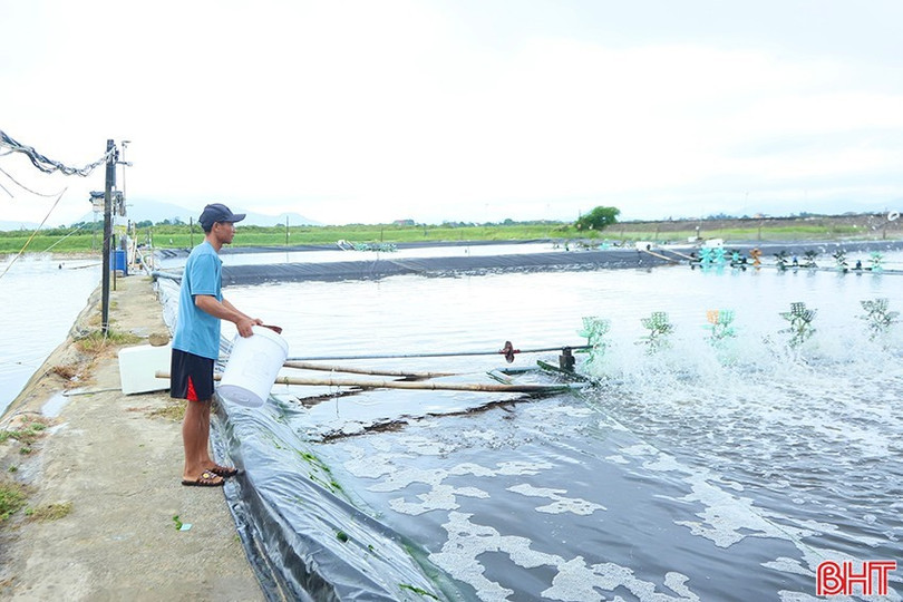 Người nuôi cần chú trọng chăm sóc tôm vào mùa hè, khi thời tiết diễn biến thất thường. 05.jpg