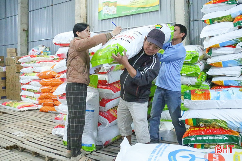 Sở NN&MT đã chỉ đạo các địa phương tăng cường tuyên truyền, hướng dẫn các cơ sở chỉ kinh doanh, sử dụng các loại giống lúa nằm trong cơ cấu Đề án sản xuất vụ xuân năm 2026 đã được phê duyệt.