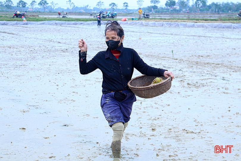 Bà Nguyễn Thị Lý ( thôn Thượng Nguyên, xã Thạch Kênh, huyện Thạch Hà) phấn khởi khi lần đầu tiên được gieo cấy trên 1 thửa ruộng tập trung sau đợt chuyển đổi, tích tụ ruộng đất. bqbht_br_img-0584.jpg
