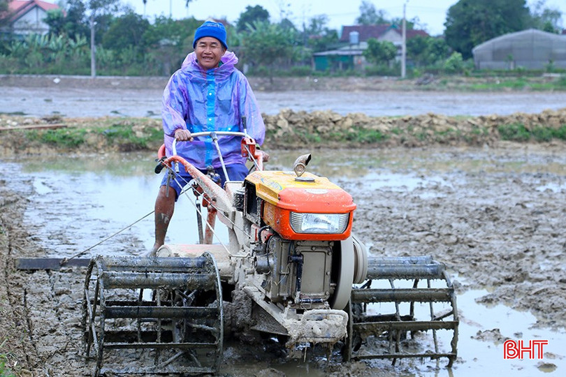 Khí thế mới trên cánh đồng vụ xuân. bqbht_br_img-0607.jpg