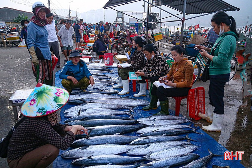 Cảng cá Thạch Kim, một trong những cảng cá lớn, có hoạt động kinh doanh thủy hải sản sôi động. bqbht_br_image-16.jpg