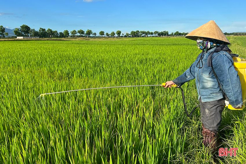 Ngành chuyên môn huyện Can Lộc khuyến cáo phun phòng trừ đối với các diện tích trổ muộn. z5706810726145_b50abe54a048863f80ac813aea2d782f.jpg