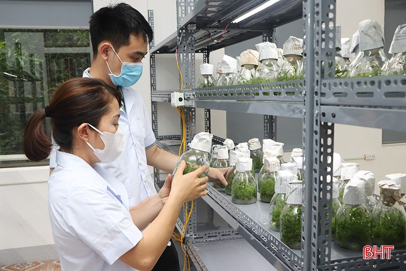 Hà Tĩnh khuyến khích các doanh nghiệp, nhất là doanh nghiệp nhỏ và vừa đầu tư vào chuyển đổi số, nghiên cứu và ứng dụng khoa học công nghệ. 4352.jpg