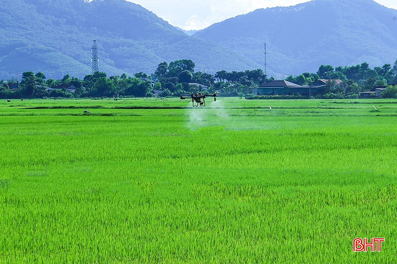 Máy bay không người lái phun phòng trừ rầy tại phường Hà Huy Tập. bqbht_br_img-5201.jpg