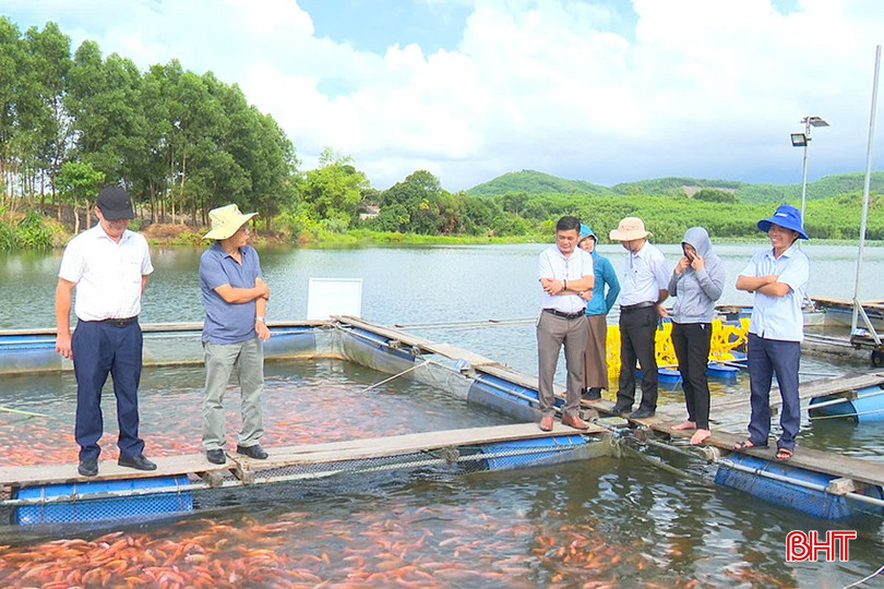 Nuôi cá diêu hồng trong lồng bè theo tiêu chuẩn VietGAP sản lượng trung bình đạt 5,91 tấn cá/100 m3 z5778648186478-326f933dfccd60a086a0da428bf3027f-2195.jpg