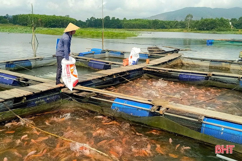 Ông Nguyễn Khánh Tuấn (xã Kỳ Hoa, Kỳ Anh) nuôi cá theo tiêu chuẩn VietGAP. z5895857108819-8989cc40035830e2dd7c188aad18b253-3187.jpg