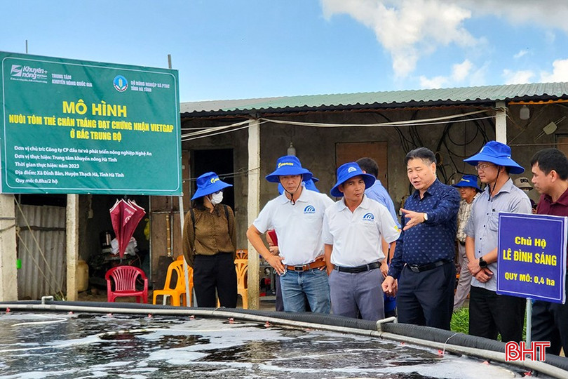 Nuôi tôm thẻ chân trắng theo tiêu chuẩn VietGAP ngày càng được nhiều người quan tâm. h3-4700.jpg
