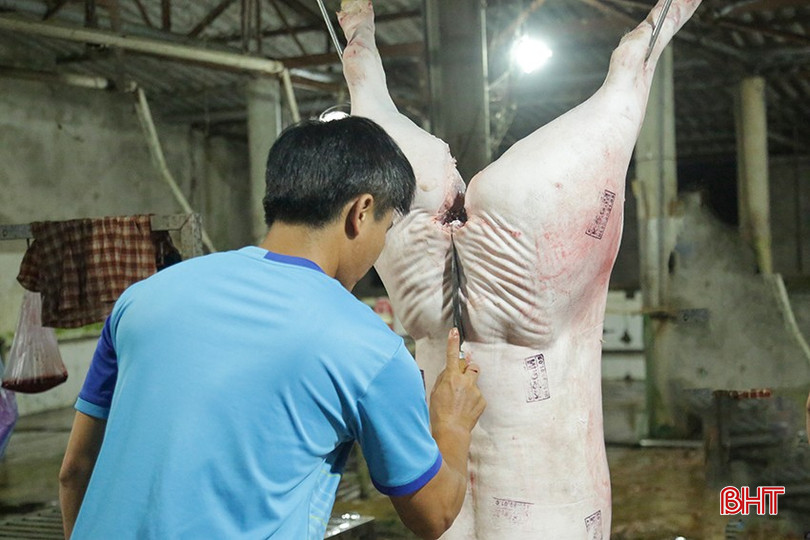 Hiện nay, hoạt động tại các cơ sở giết mổ tập trung trên địa bàn tỉnh đều bị ảnh hưởng do nhu cầu tiêu thụ thịt lợn giảm mạnh. bqbht_br_0x5a1555.jpg