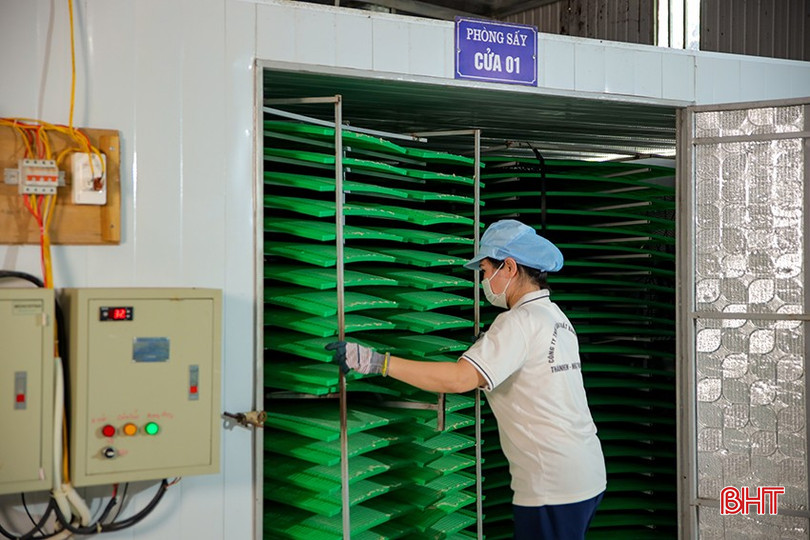 Kho sấy bánh đáp ứng công suất cao của Công ty TNHH Bánh đa nem Nhật Thành. bqbht_br_dang8945.jpg