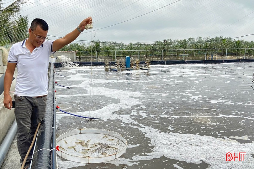 Nuôi tôm thâm canh 2 giai đoạn, 3 giai đoạn đang được nhiều người nuôi tôm đầu tư. bqbht_br_z6442199050331-a9e32c7b40712c8c9f2bebbee4ea0121.jpg