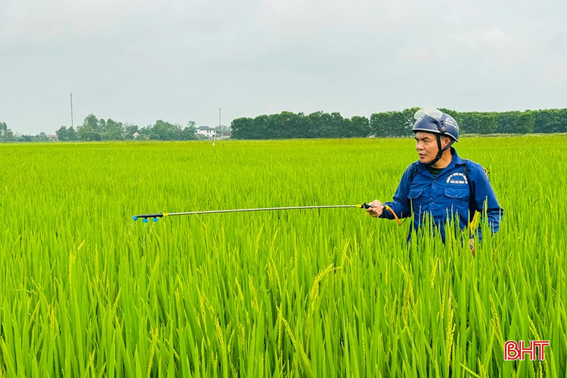 Nông dân Can Lộc phun phòng trừ bệnh đạo ôn cổ bông và khô vằn. bqbht_br_z6549907621760-f022c588920c83265c3d148352c00ad2.jpg