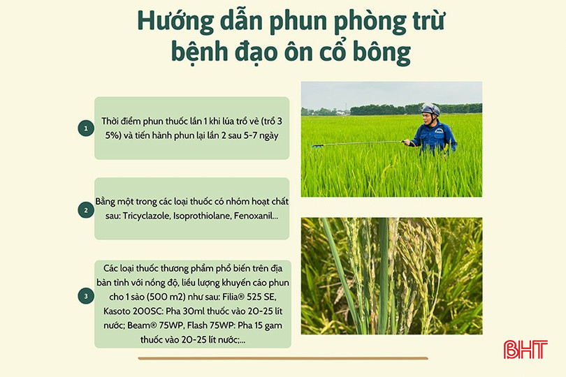 Hướng dẫn phun phòng trừ đạo ôn cổ bông trên lúa xuân. bqbht_br_nhan-thuc-cong-dong-chat-gay-nghien-lam-dung-poster-bai-dang-facebook-3.jpg