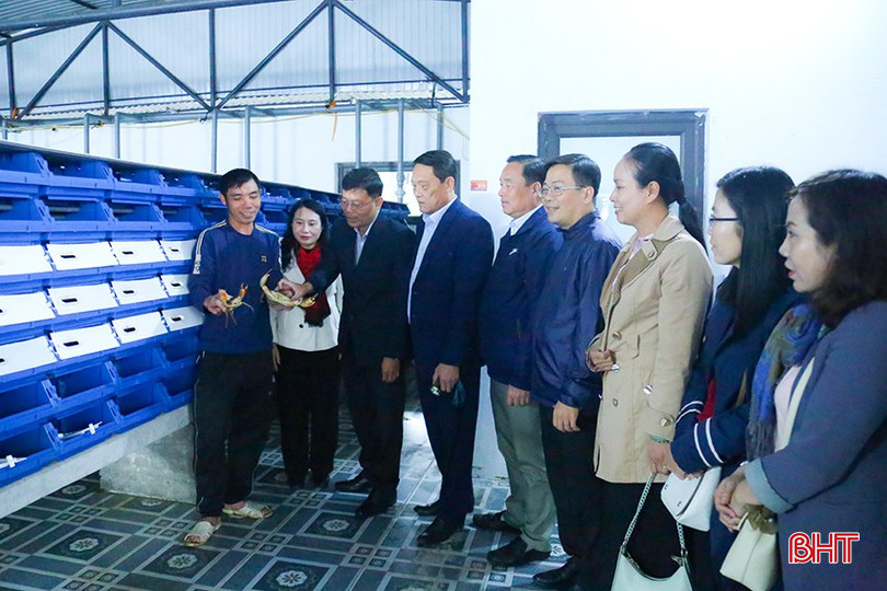 Đoàn công tác tham quan mô hình nuôi cua trong hộp nhựa tại HTX Dịch vụ Nông nghiệp Hà Hoàng tại phường Thạch Hạ. bqbht_br_img-0190.jpg