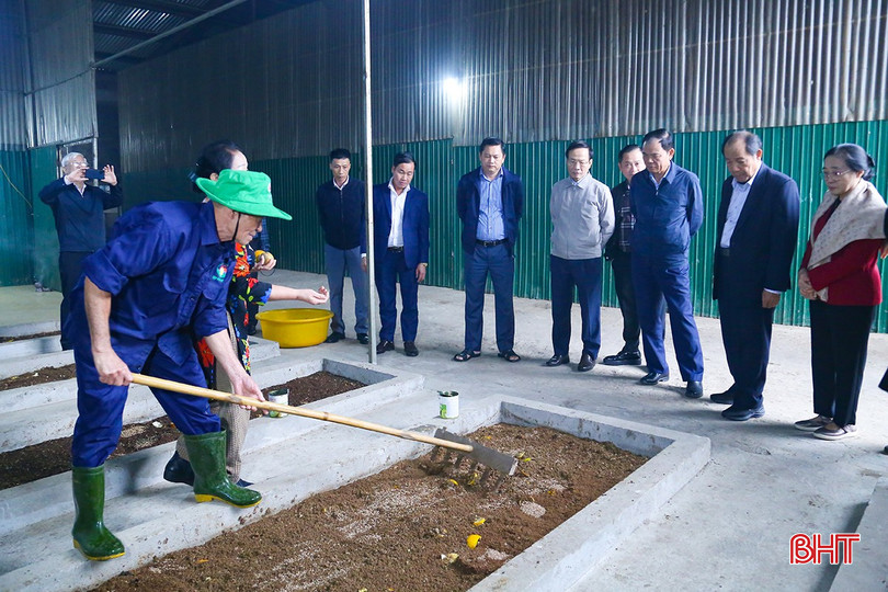 Processen att odla svarta soldatflugor använder jordbruksbiprodukter, vilket bidrar till att minska utsläpp och förbättra produktionseffektiviteten. bqbht_br_img-2507.jpg