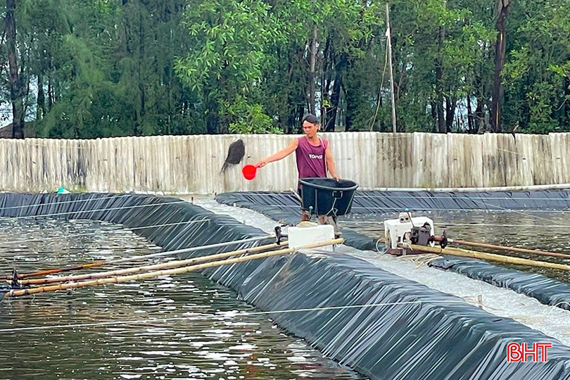 HTX Nuôi trồng thủy sản Xuân Thành (Nghi Xuân) thả nuôi thâm canh trên diện tích gần 3 ha. bqbht_br_z5821972257388-3380ee6fc8362778f6dccac42cae1ccc-1.jpg