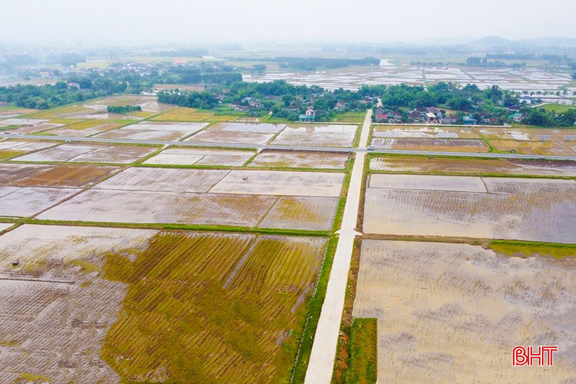 Nước được điều tiết về chân ruộng trên các cánh đồng thửa lớn. bqbht_br_z6646326003383-a83db0504440b1962476d67eb0f0808c.jpg
