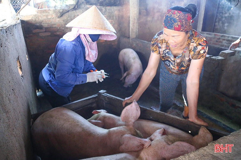 Người chăn nuôi tiến hành tiêm phòng các loại vắc-xin phòng bệnh. img-9740-5857.jpg