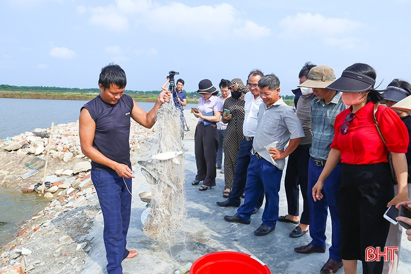 Các đại biểu tham quan mô hình nuôi xen ghép tôm sú, cua biển, cá đối mục trên diện tích 1 ha tại hộ ông Trương Thế Cương từ tháng 4/2024. IMG_1050.jpg